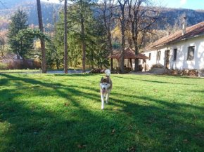  Bed and Breakfast Radgost  Ртањ